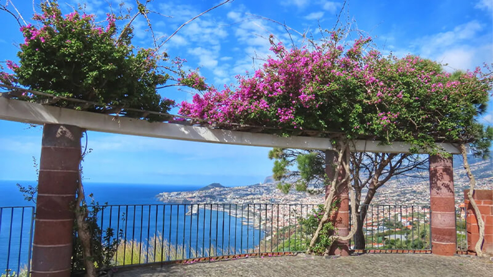 Madeira jógatábor